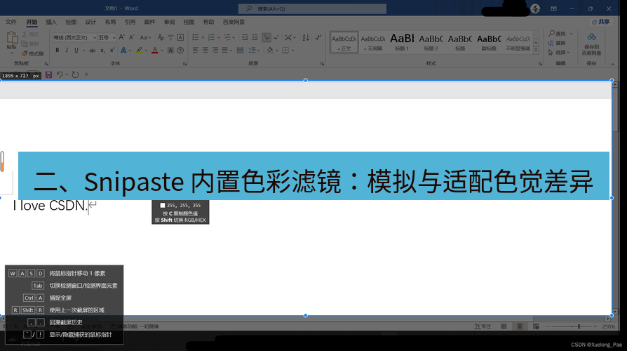 snipaste 二、Snipaste 内置色彩滤镜：模拟与适配色觉差异