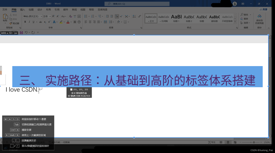 snipaste 三、 实施路径：从基础到高阶的标签体系搭建