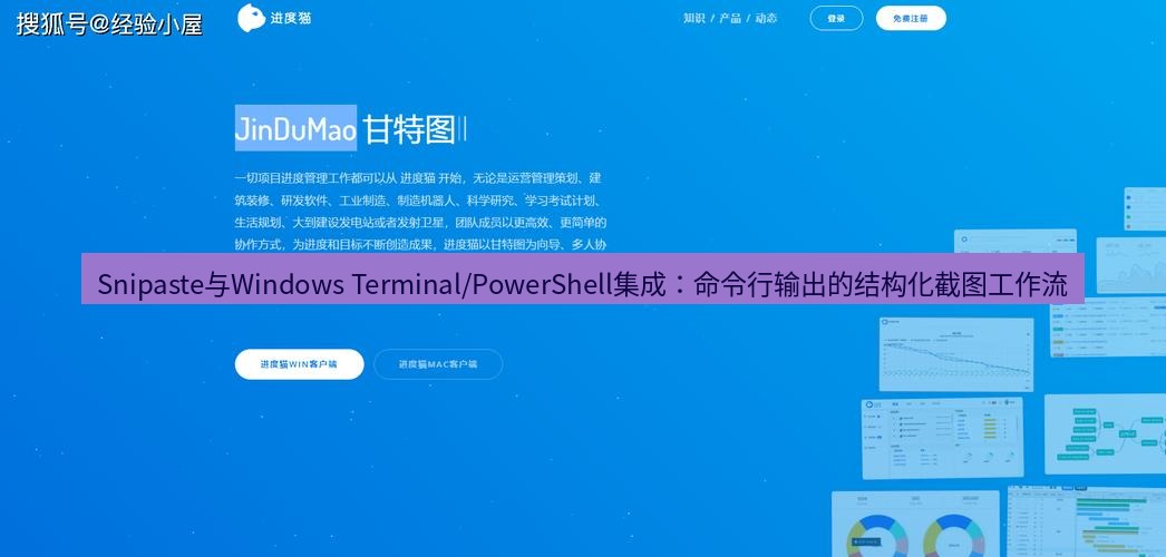 截图软件 Snipaste与Windows Terminal/PowerShell集成：命令行输出的结构化截图工作流