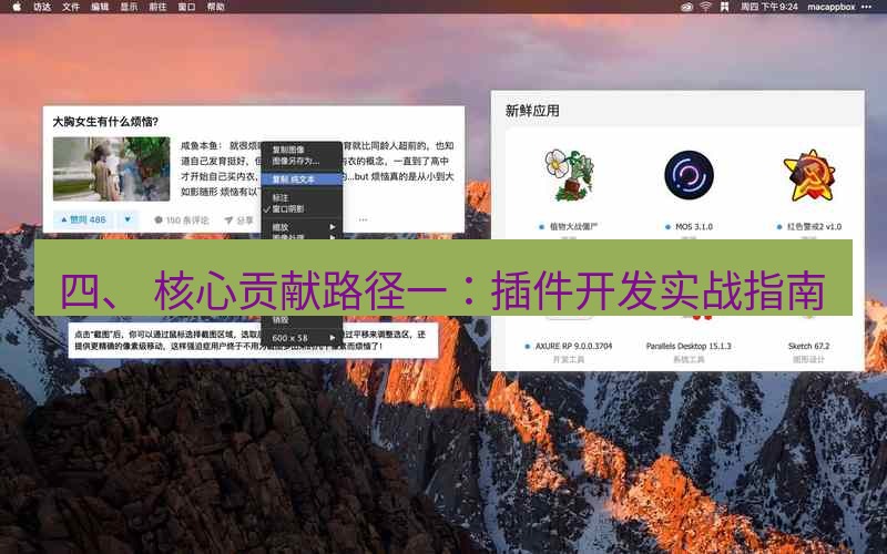 snipaste 四、 核心贡献路径一：插件开发实战指南