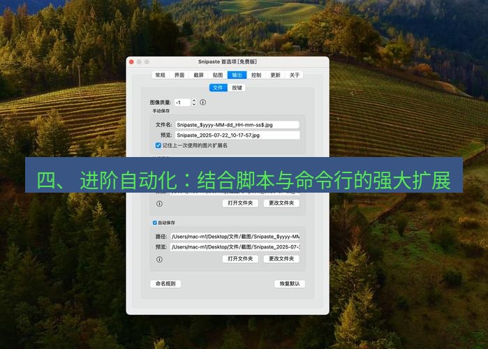 snipaste 四、 进阶自动化：结合脚本与命令行的强大扩展