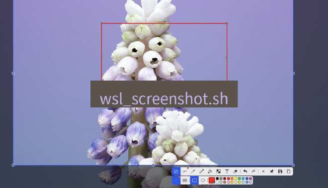 snipaste wsl_screenshot.sh