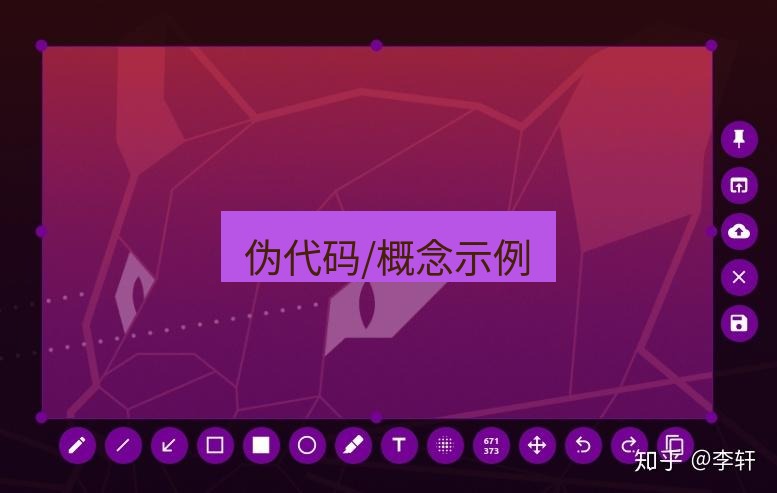 snipaste 伪代码/概念示例