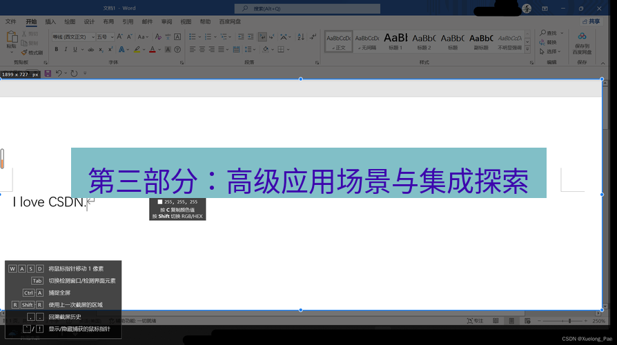 snipaste 第三部分：高级应用场景与集成探索