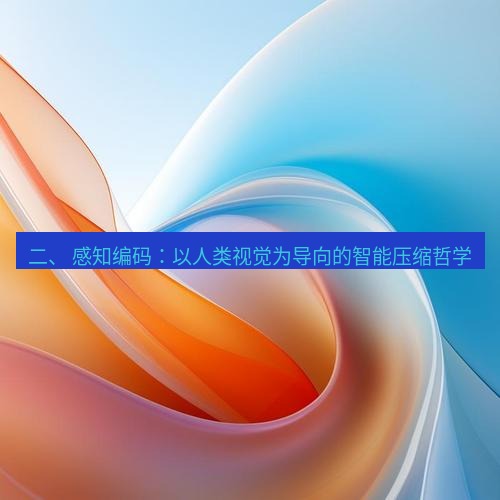snipaste 二、 感知编码：以人类视觉为导向的智能压缩哲学