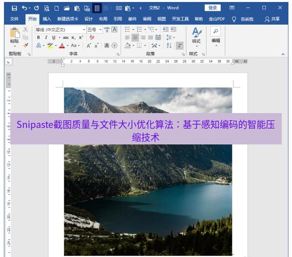 snipaste Snipaste截图质量与文件大小优化算法：基于感知编码的智能压缩技术