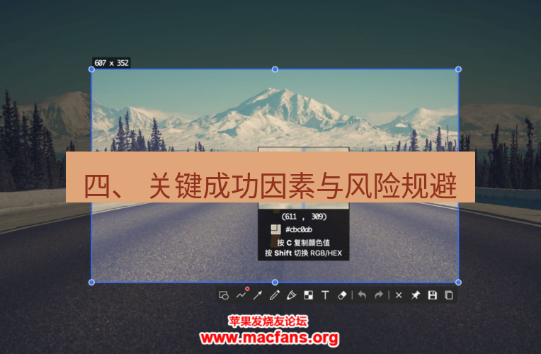 snipaste 四、 关键成功因素与风险规避
