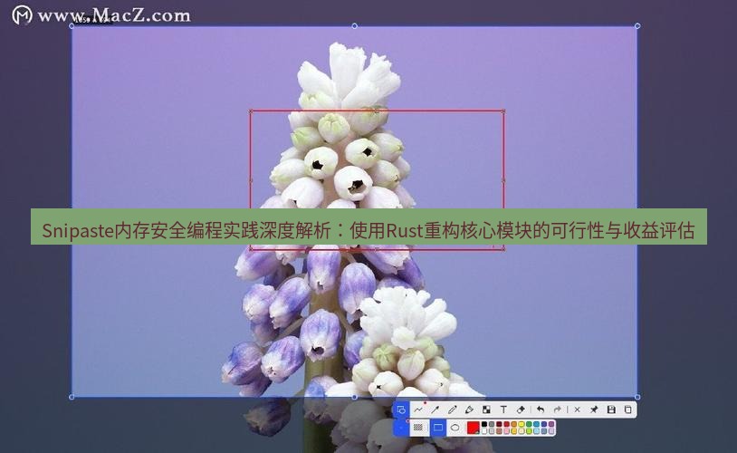 snipaste Snipaste内存安全编程实践深度解析：使用Rust重构核心模块的可行性与收益评估