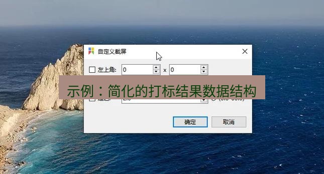 snipaste 示例：简化的打标结果数据结构