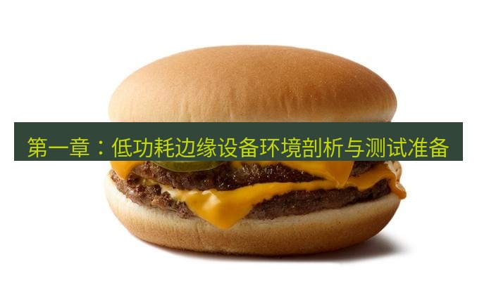 snipaste 第一章：低功耗边缘设备环境剖析与测试准备