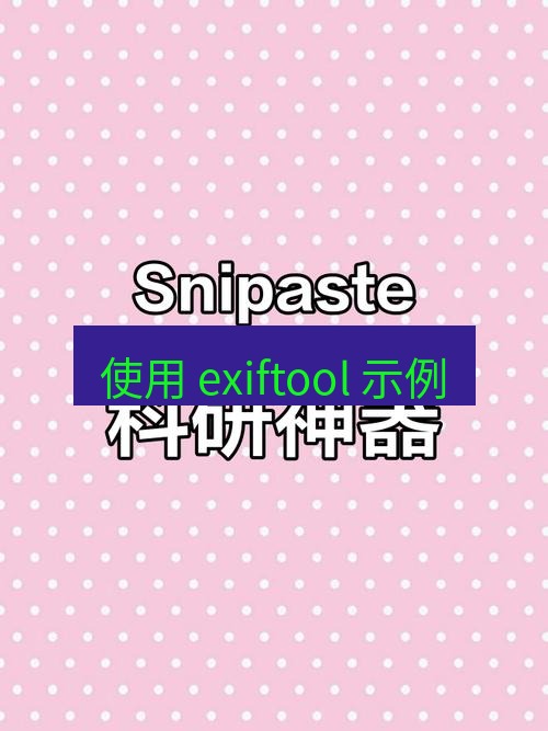 snipaste 使用 exiftool 示例