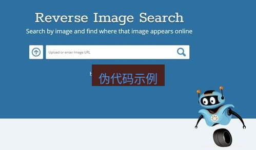snipaste 伪代码示例