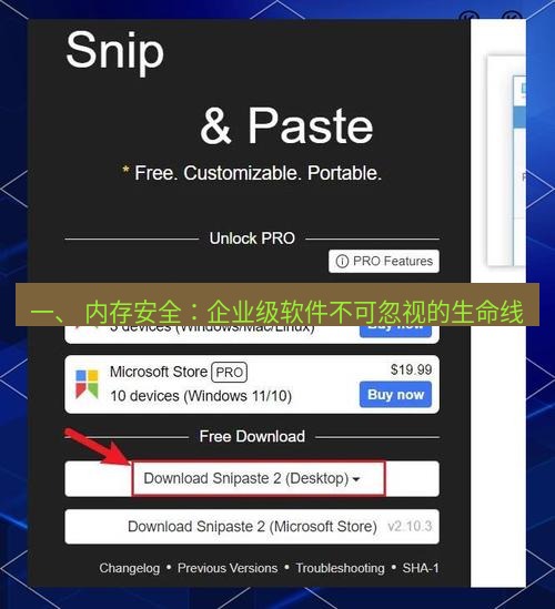snipaste 一、 内存安全：企业级软件不可忽视的生命线