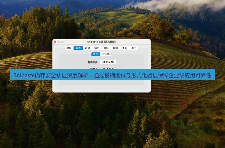 snipaste Snipaste内存安全认证深度解析：通过模糊测试与形式化验证保障企业级应用可靠性