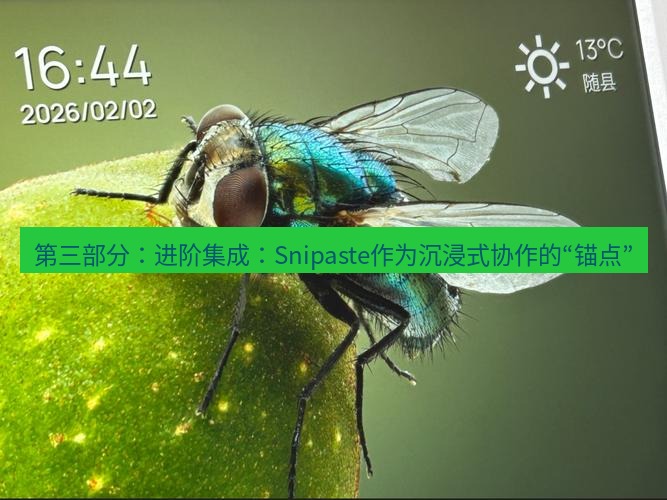 snipaste 第三部分：进阶集成：Snipaste作为沉浸式协作的“锚点”