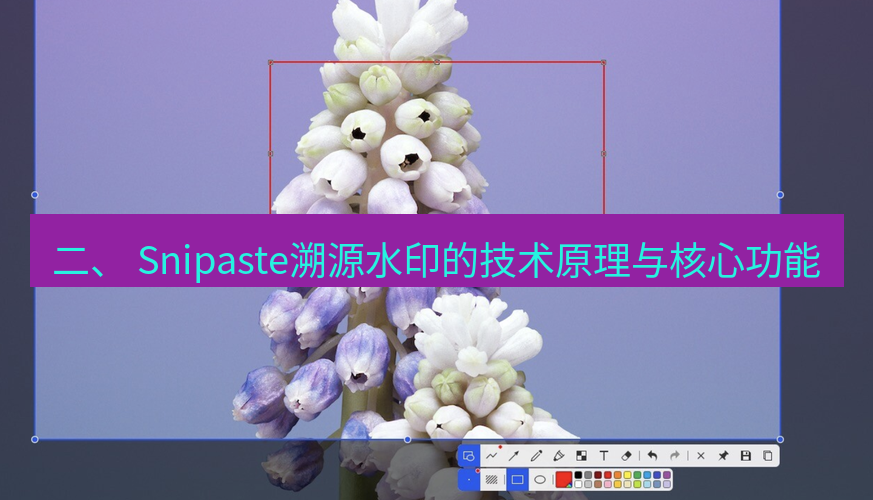 snipaste 二、 Snipaste溯源水印的技术原理与核心功能