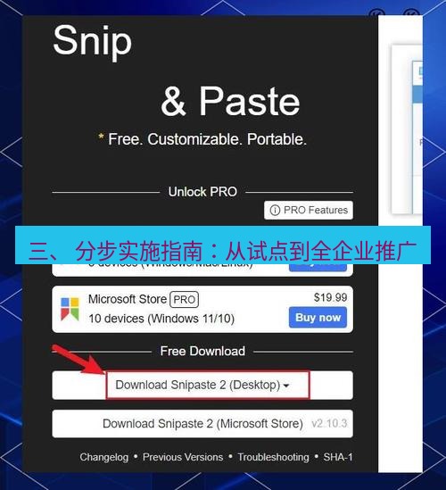 snipaste 三、 分步实施指南：从试点到全企业推广