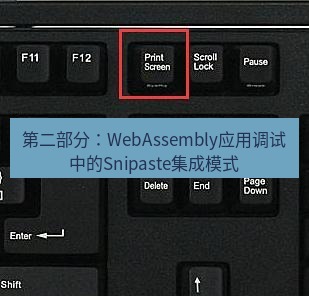 snipaste 第二部分：WebAssembly应用调试中的Snipaste集成模式