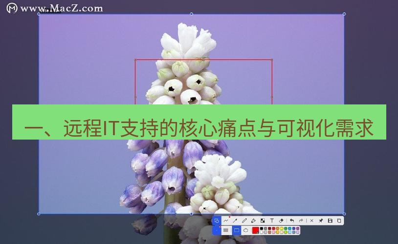 snipaste 一、远程IT支持的核心痛点与可视化需求