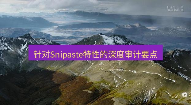 snipaste 针对Snipaste特性的深度审计要点